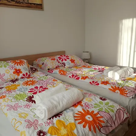 Orchidea Premium